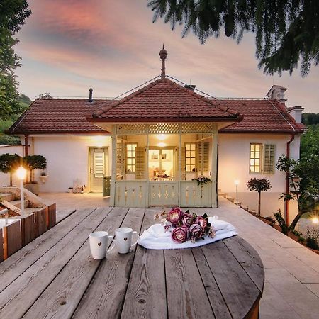 Vila Vilma Vineyard Cottage Lendava Esterno foto