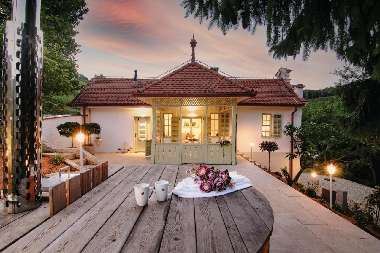 Vila Vilma Vineyard Cottage Lendava Esterno foto