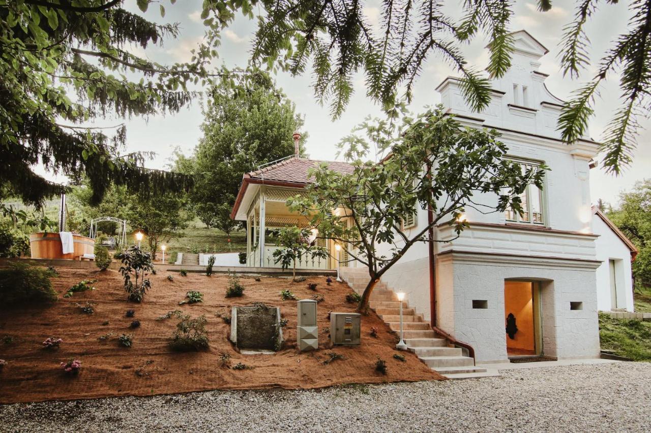Vila Vilma Vineyard Cottage Lendava Esterno foto