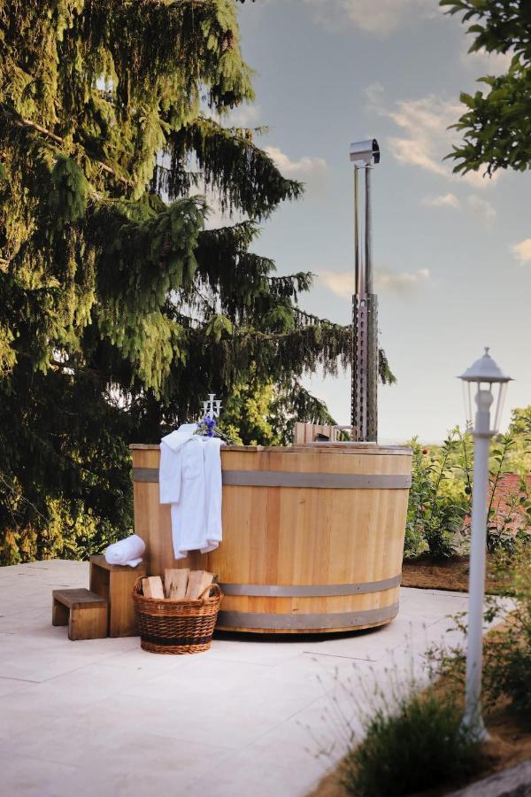 Vila Vilma Vineyard Cottage Lendava Esterno foto