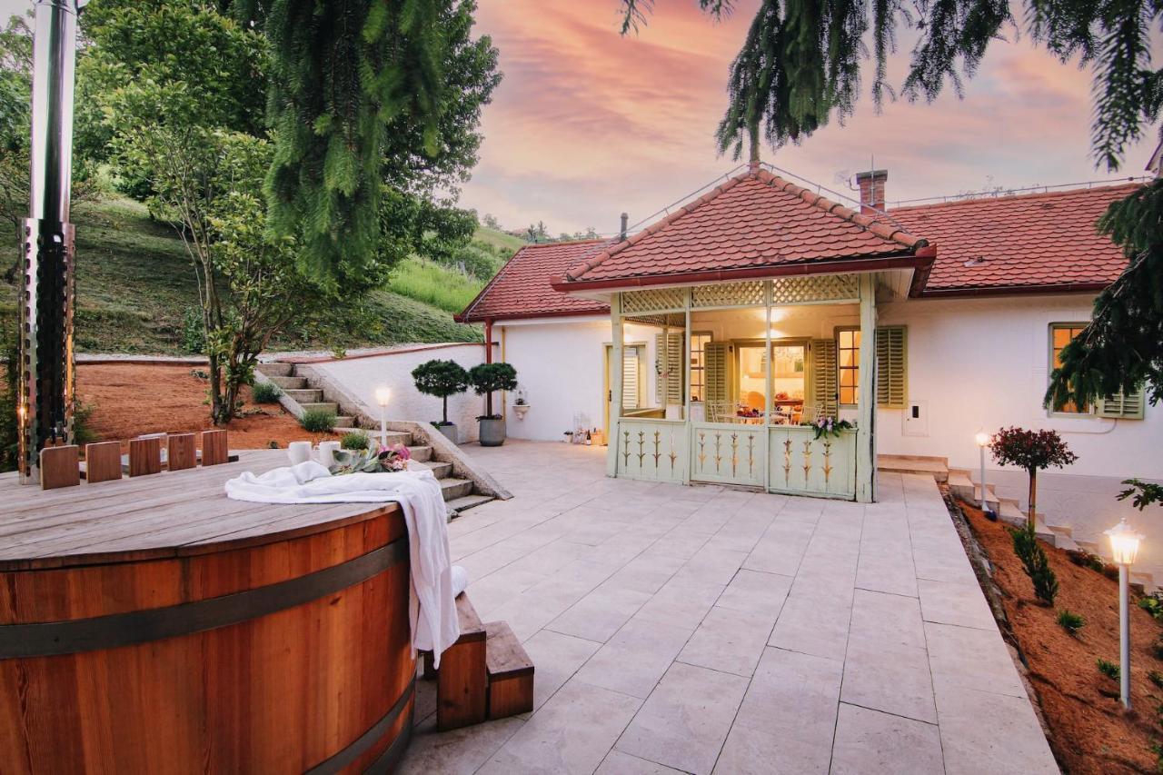 Vila Vilma Vineyard Cottage Lendava Esterno foto