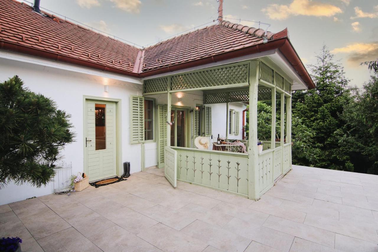 Vila Vilma Vineyard Cottage Lendava Esterno foto