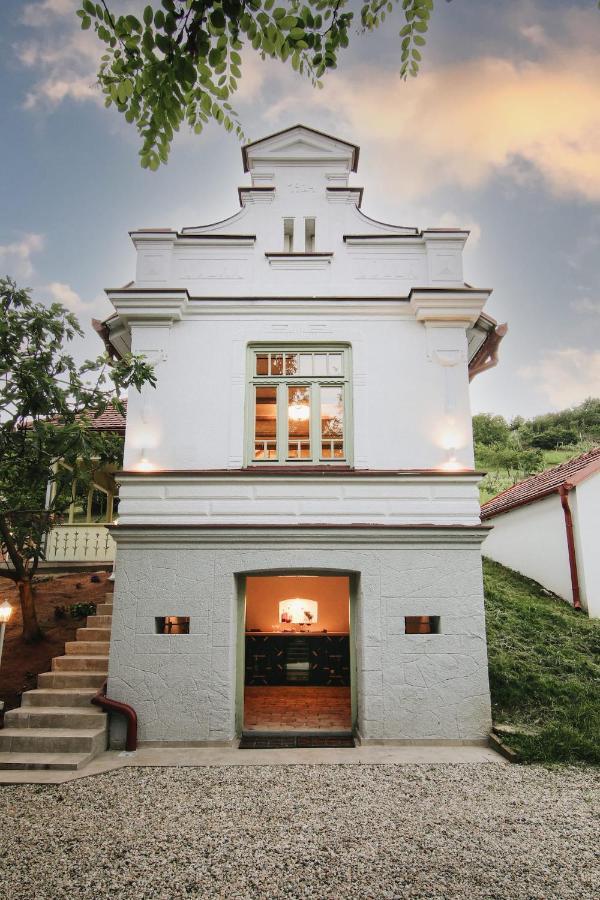 Vila Vilma Vineyard Cottage Lendava Esterno foto